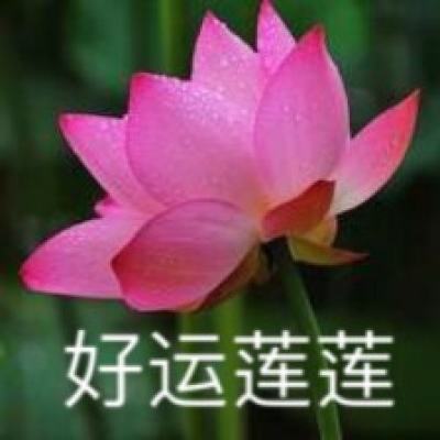 v5fox手机客户端下载